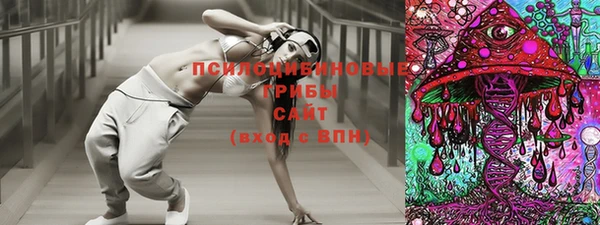 герыч Елабуга