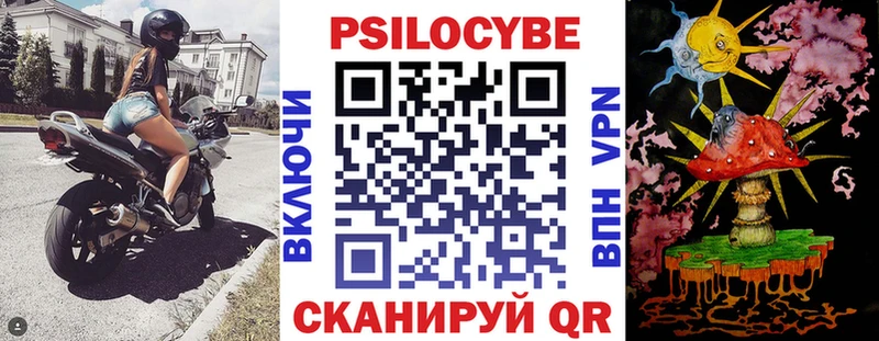 Галлюциногенные грибы Psilocybe Щёлкино